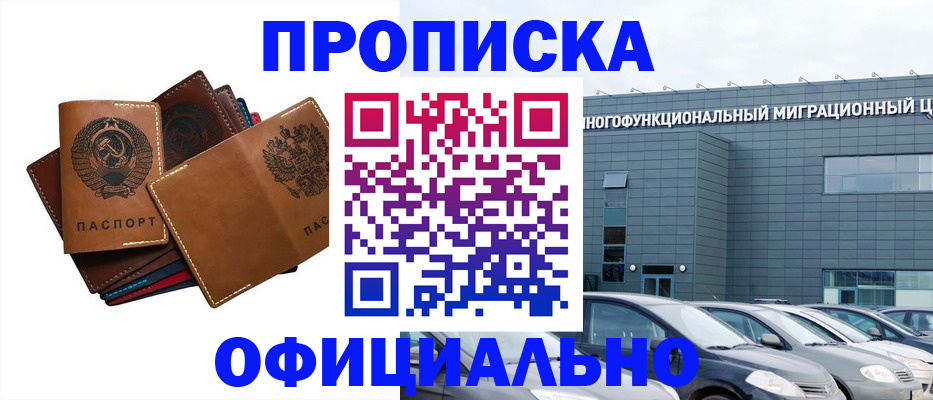 прописка в квартире в Палласовке